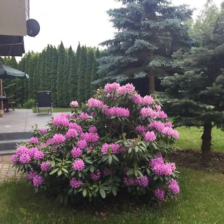 Apartament Brzeziny Olsztyn Apartman *